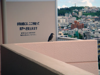 img0816_3.jpg