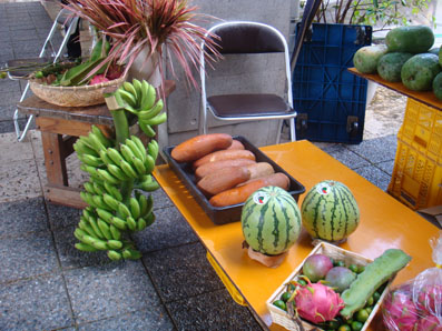img0820_3.jpg
