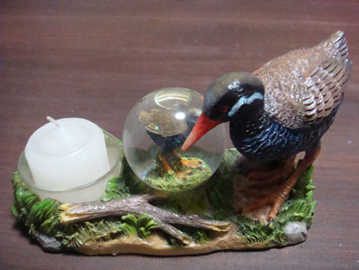 img100917_2.jpg