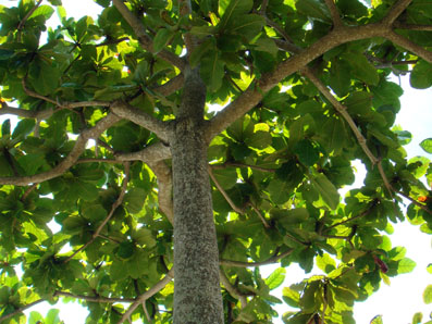 img100930_1.jpg