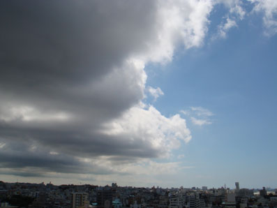 img101014_1.jpg
