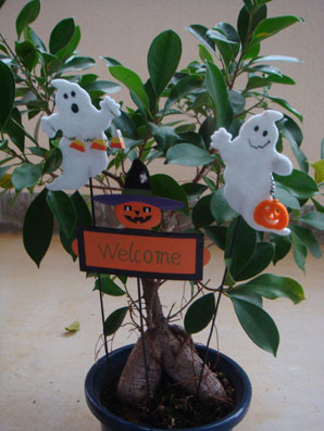 img101014_3.jpg