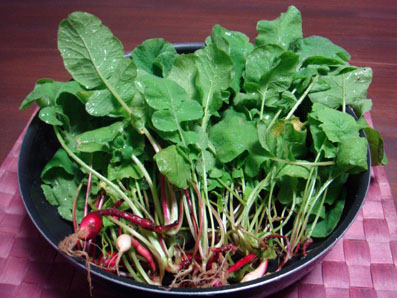 img101015.jpg