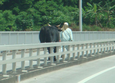 100629_4.jpg