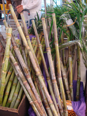 img0818_5.jpg