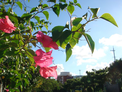 img0818_7.jpg