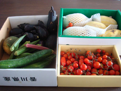 img0829_1.jpg
