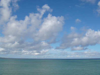 img0830_1.jpg