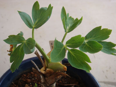 img0901.jpg