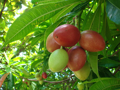 img0903_5.jpg