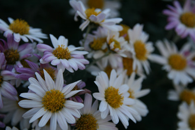 img091218_4.jpg