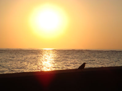 img100105_1.jpg