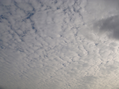 img100107_1.jpg