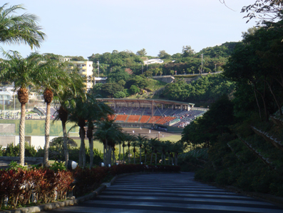 img100111_1.jpg