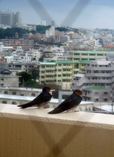 img100204_1.jpg