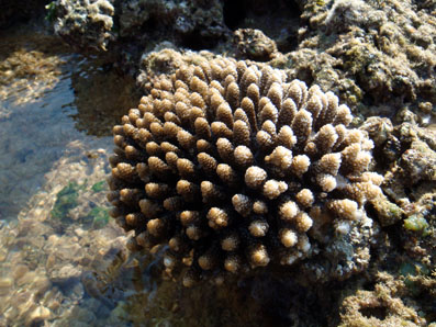 img100305_1.jpg
