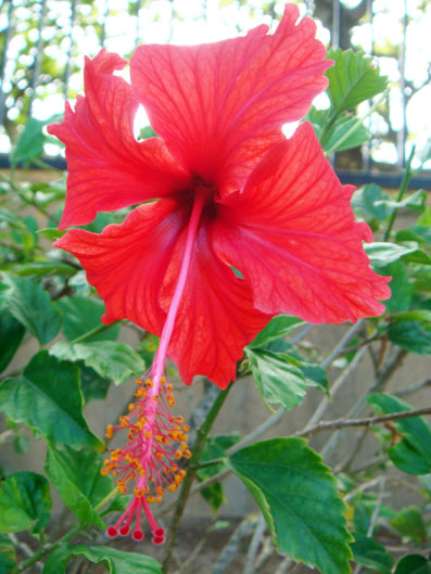 img100401_2.jpg