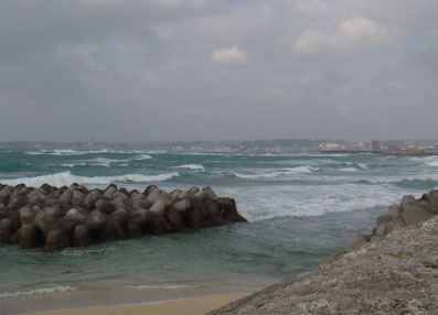 img100407_1.jpg