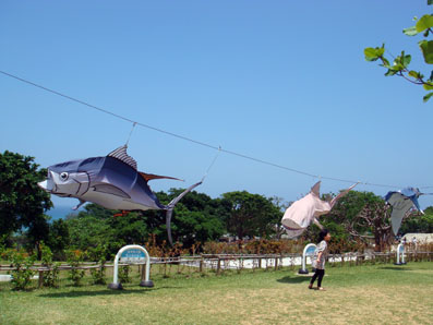 img100505_10.jpg
