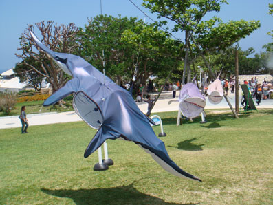 img100505_2.jpg