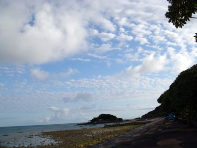 img100505_5.jpg