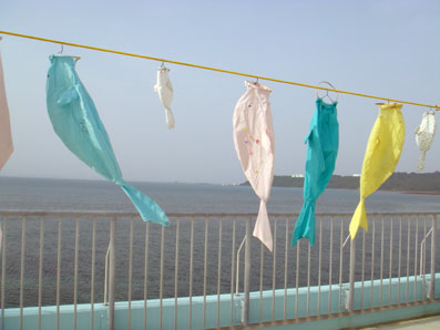 img100505_8.jpg
