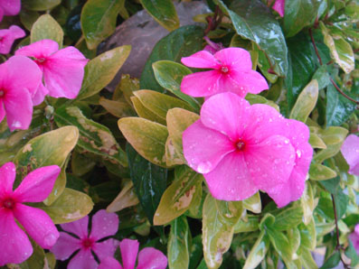 img100507_2.jpg