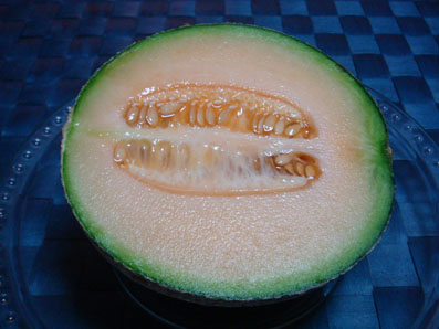 img100612_4.jpg