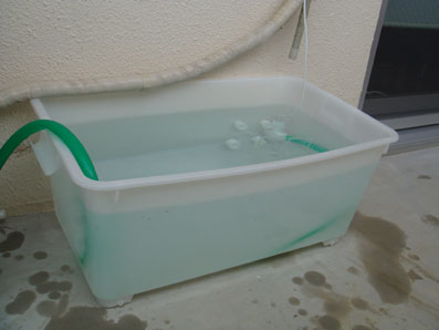 img100918_2.jpg