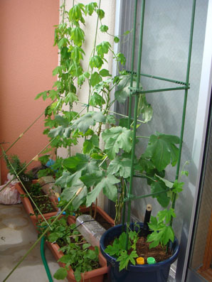 img100918_4.jpg