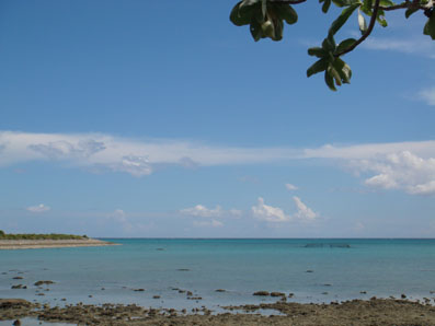 img100923_1.jpg
