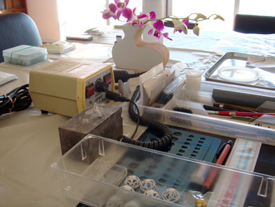 img100928_2.jpg