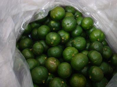img101007_1.jpg