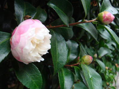 img101025.jpg
