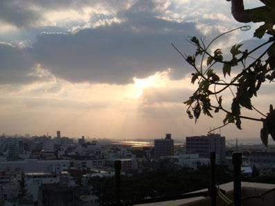 img101101.jpg