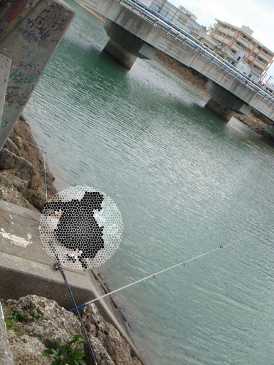 img101111.jpg