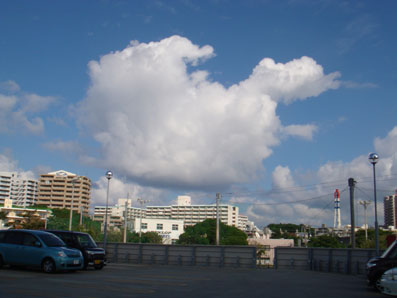 img101120_1.jpg