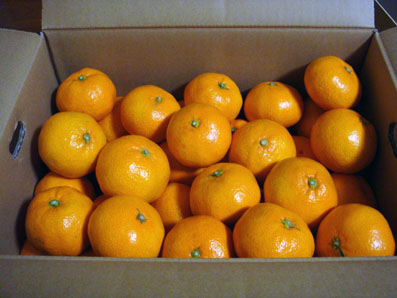 img101123_2.jpg