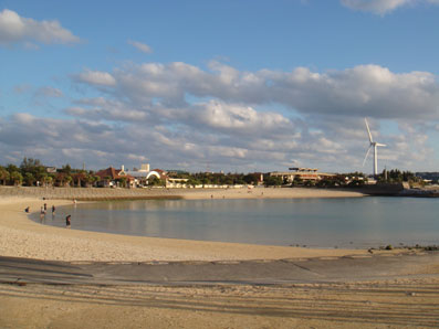 img10113_2.jpg