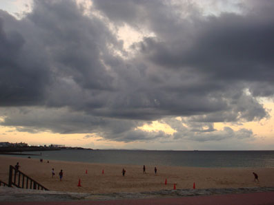 img101206.jpg