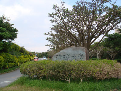 img101210_1.jpg