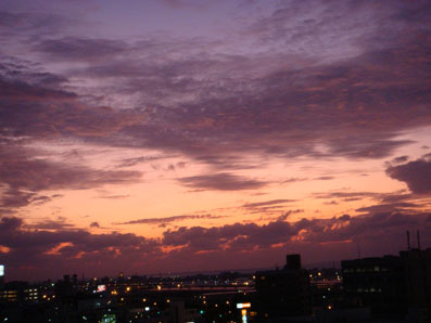img101212_1.jpg