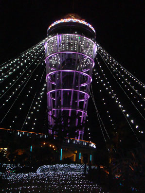 img101216.jpg
