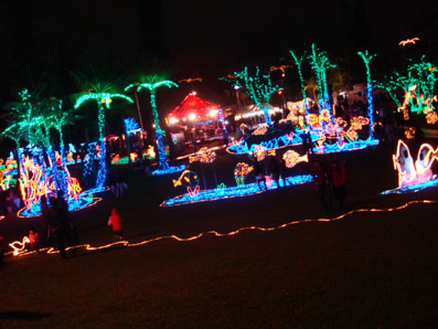 img101225_2.jpg