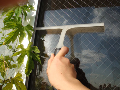 img101229.jpg