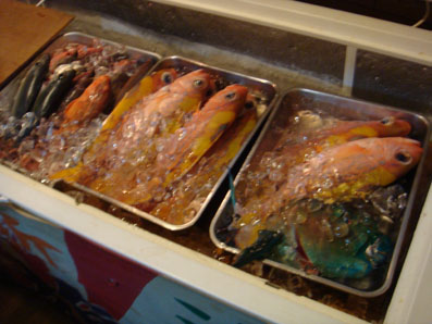 img101230.jpg