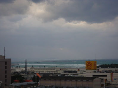 img101231_1.jpg