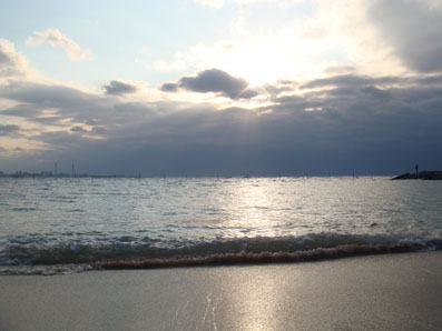 img110102_2.jpg