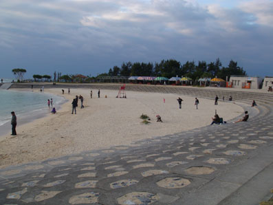 img110102_3.jpg
