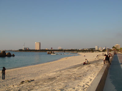 img110105_3.jpg